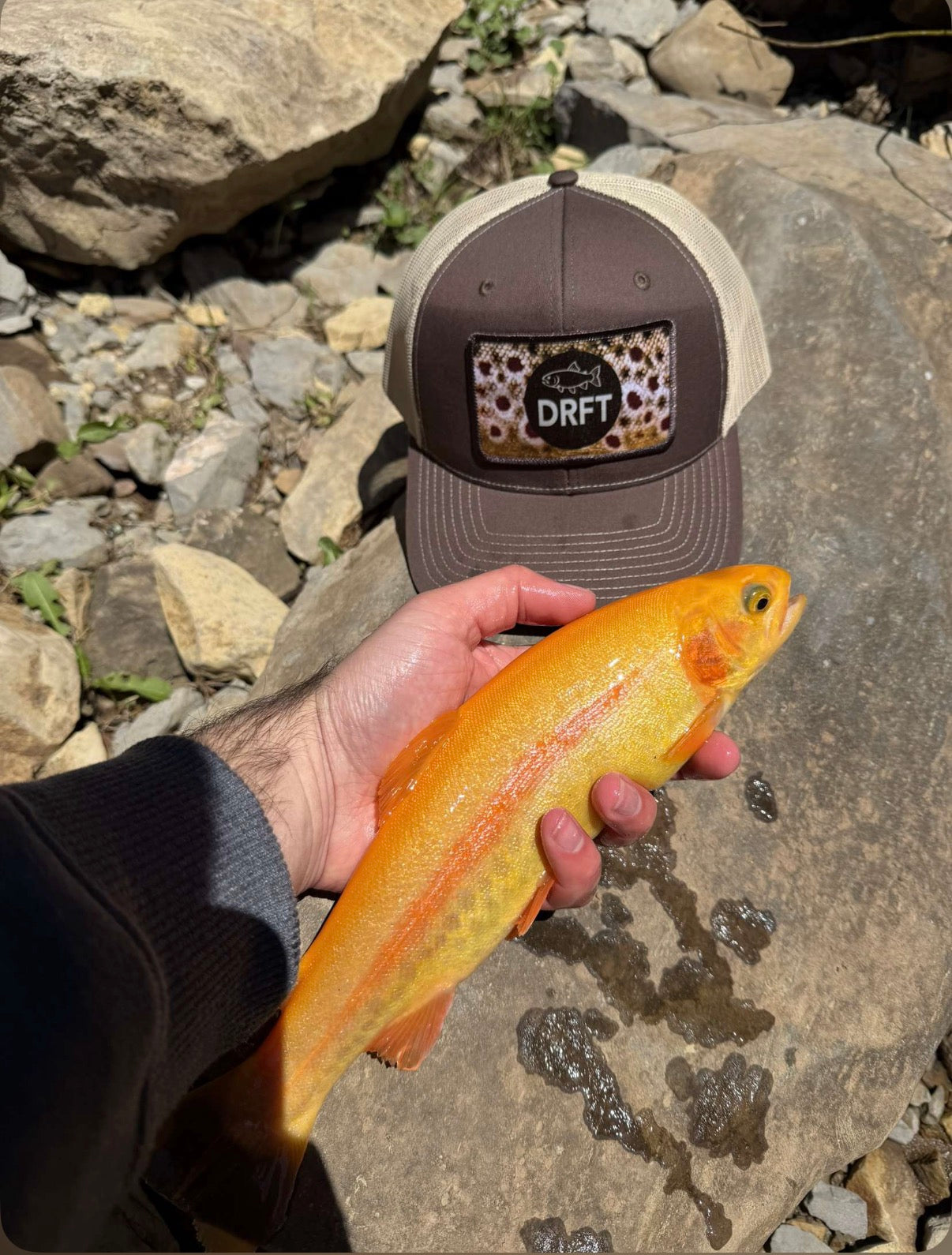 DRFT Heritage Brown Trout Hats